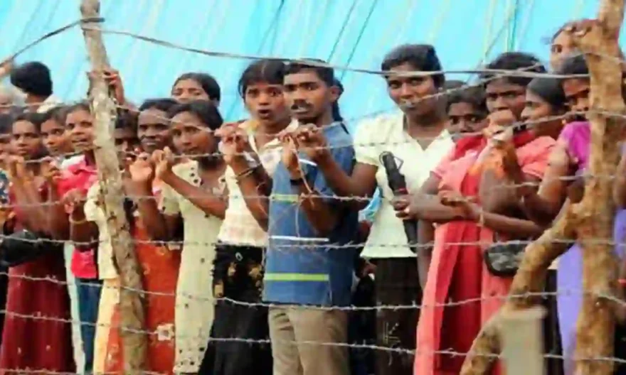 DMK, Tamil Refugees, CAA