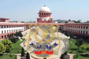 NDPS, Supreme Court