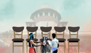 Jallikattu Verdict Reserve