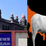 telangana hc