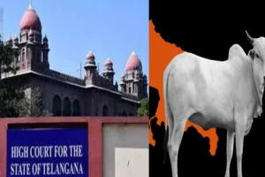 telangana hc