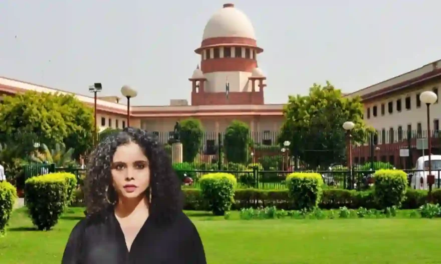 Money Laundering, Rana Ayyub