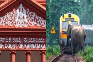 Karnataka HC Orders Forest Officials To Reply On PIL Regarding Wildlife Killed By Speeding Trains