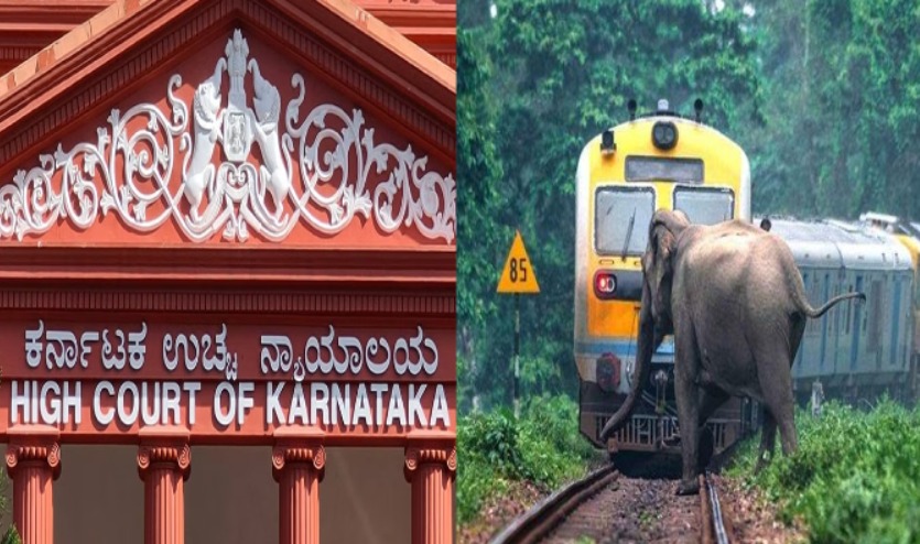 Karnataka HC Orders Forest Officials To Reply On PIL Regarding Wildlife Killed By Speeding Trains