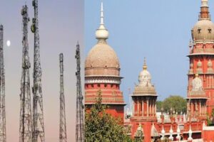 Radiation Is Now In Your Body: Madras HC To Lawyer's Plea Seeking To Remove Cellphone Towers Over Radiation Concerns