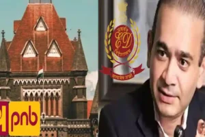 Bombay HC Issues Notice To PNB, Urges Nirav Modi's Seized Properties Be Handed Over To ED Custody