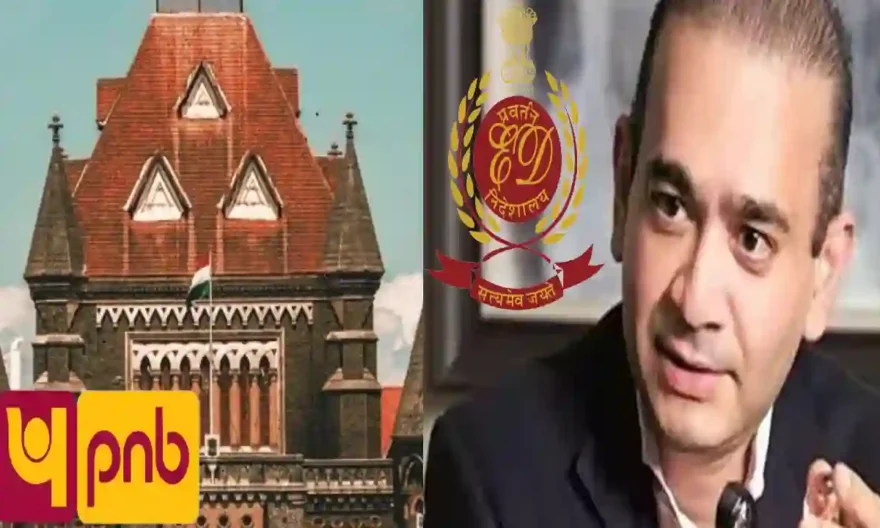 Bombay HC Issues Notice To PNB, Urges Nirav Modi's Seized Properties Be Handed Over To ED Custody