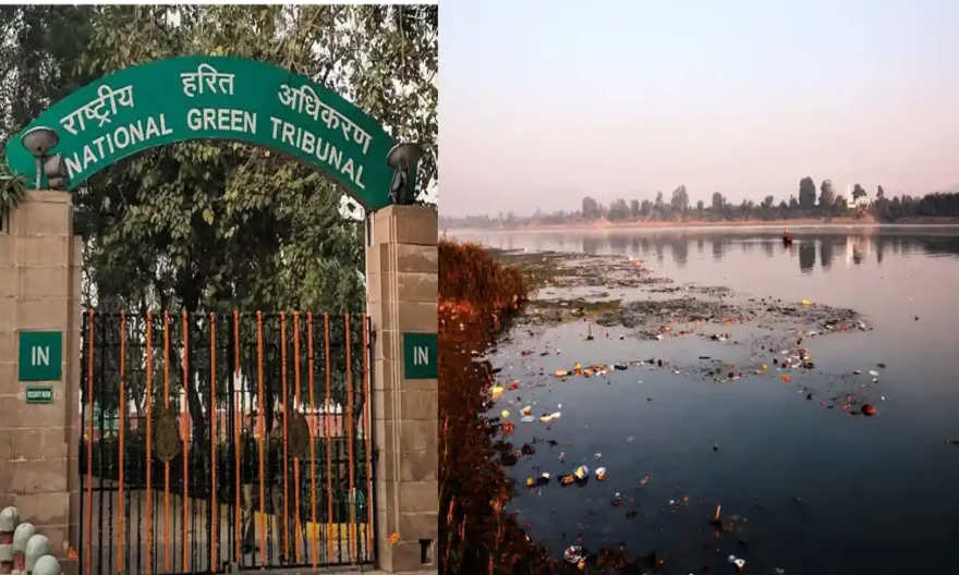 Narmada pollutiion