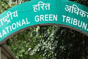 West Bengal Illegal Mining Case: NGT Directs Compensation For Deaths Of Children