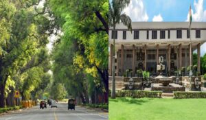 Delhi Preservation of Trees (DPT) Act