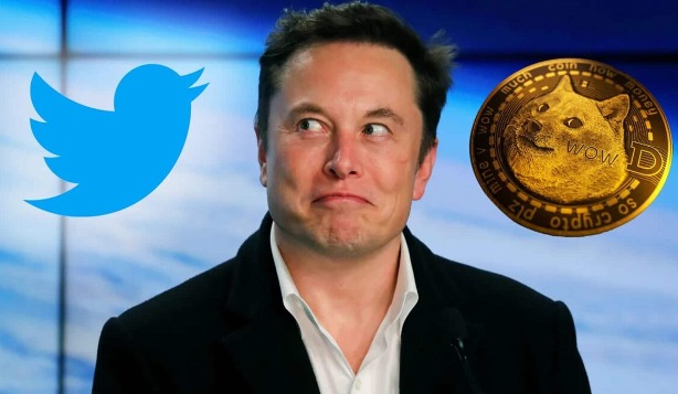 Elon Musk Makes Dogecoin A New Twitter Logo Just Days After Admitting In Court That His Tweets Are Silly