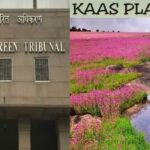 Plea Filed In NGT Seeking Protection Of UNESCO World Heritage Site 'Kaas Plateau’