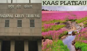 Plea Filed In NGT Seeking Protection Of UNESCO World Heritage Site 'Kaas Plateau’