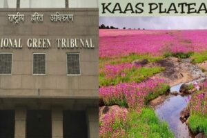 Plea Filed In NGT Seeking Protection Of UNESCO World Heritage Site 'Kaas Plateau’