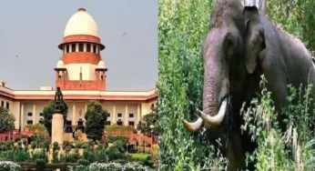 SC Dismisses Plea By State Of Kerala Against HC Directive To Relocate Rogue Elephant ‘Arikomban’