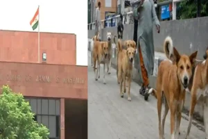 J&K & Ladakh HC Issues Notice To Ladakh Govt Over Increasing Number Of Stray Dog Bite Cases