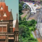 Mumbai's Aarey Metro Project: Bombay HC Orders MMRCL Not To Cut 177 Trees Until It Receives Clarification From SC