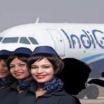 Amritsar: Man Arrested After Molesting Female Crew Staff On IndiGo Flight