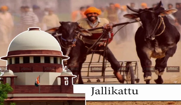 SC Allows Bovine Sport ‘Jallikattu’, Upholds Tamil Nadu Amendments To Prevention Of Cruelty To Animals Act