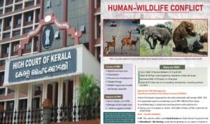 Human-wildlife conflict