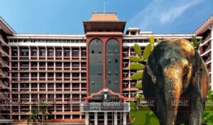 Kerala HC Dismisses PIL Seeking Relocation Of Rogue Elephant ‘Arikomban’