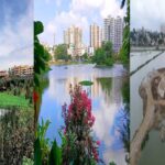 Bengaluru lakes