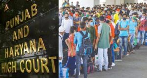 Punjab-Haryana High court