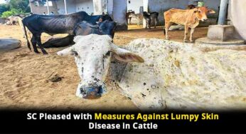 SC Closes Proceedings on Lumpy Skin Disease in Cattle, Commends States’ Vigilant Measures