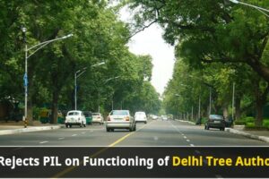 Delhi Tree Authority