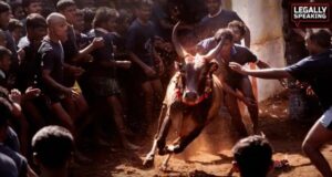 Jallikattu