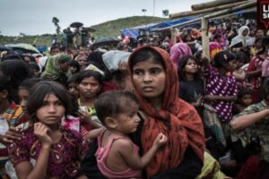 Rohingya