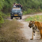 Jim Corbett National Park