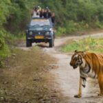 Jim Corbett, Supreme Court