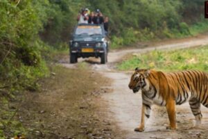 Jim Corbett, Supreme Court