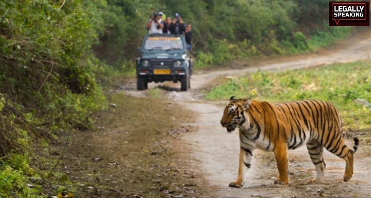 Jim Corbett, Supreme Court