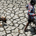 Supreme Court Steps In: Karnataka Secures 3,500 Crore Drought Relief Package