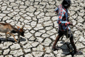 Supreme Court Steps In: Karnataka Secures 3,500 Crore Drought Relief Package