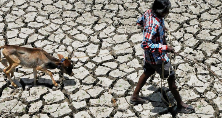 Supreme Court Steps In: Karnataka Secures 3,500 Crore Drought Relief Package