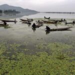 Dal Lake