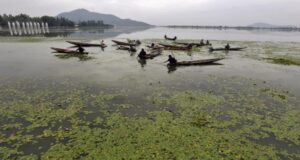 Dal Lake