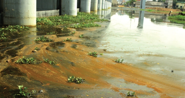 Periyar River