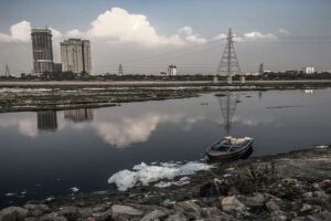 Yamuna river