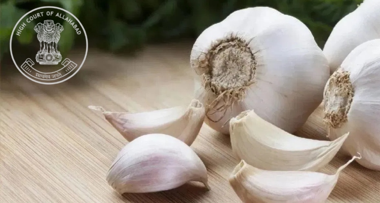 Chinese garlic