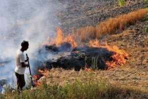 Stubble Burning