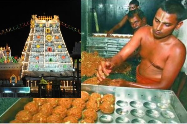 Tirupati laddus