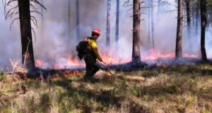 National Green Tribunal