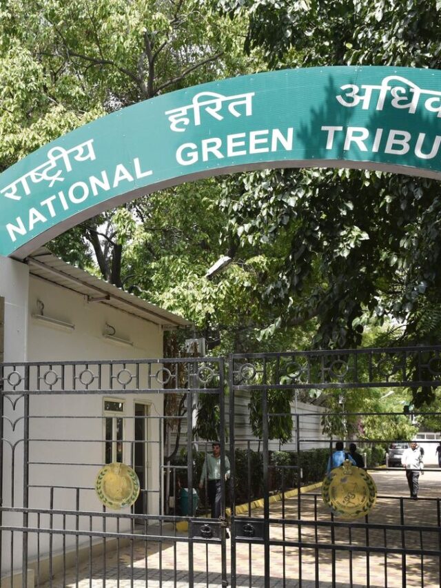 NGT Criticizes UP For ‘Lethargic Attitude’ In Floodplain Demarcation