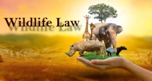 Wildlife Law