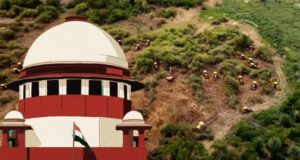 Hyderabad's Kancha Gachibowli Forest