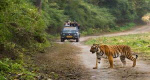 Satkosia Tiger Reserve